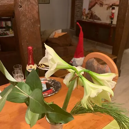 Zur Glewe Apartamento Neustadt-Glewe