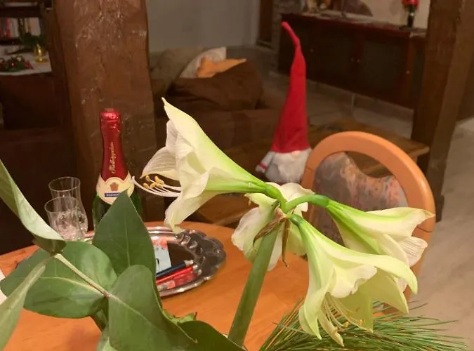 Zur Glewe Апартаменты Нойштадт-Глеве